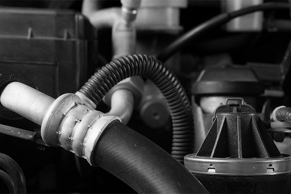 Hoses-2111-600x400 (1)